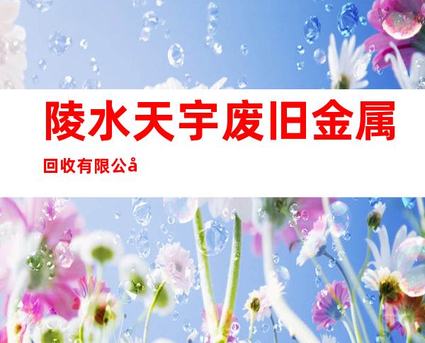 陵水天宇废旧金属回收有限公司三亚分公司