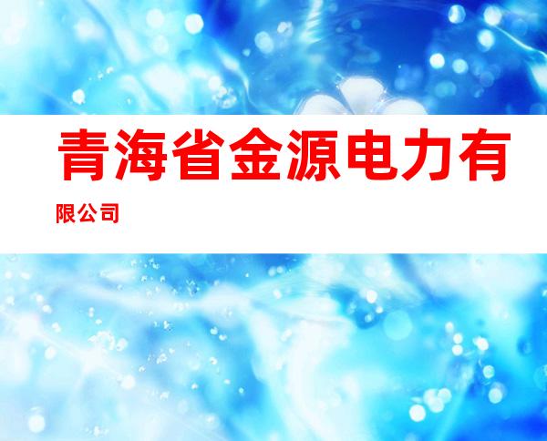 青海省金源电力有限公司