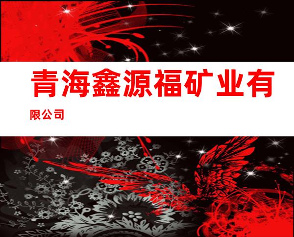 青海鑫源福矿业有限公司