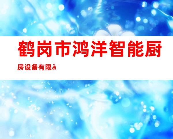 鹤岗市鸿洋智能厨房设备有限公司