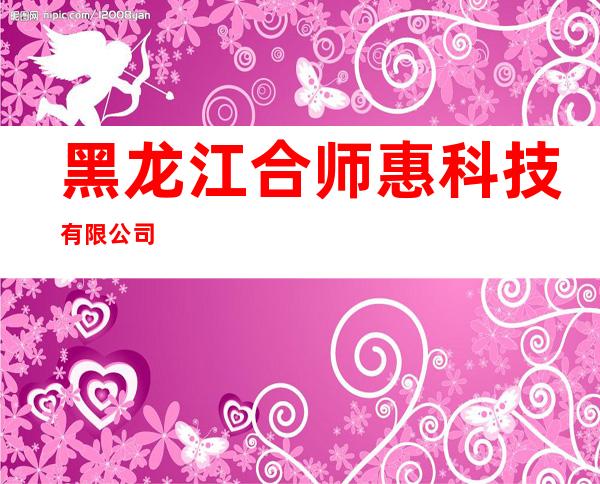 黑龙江合师惠科技有限公司
