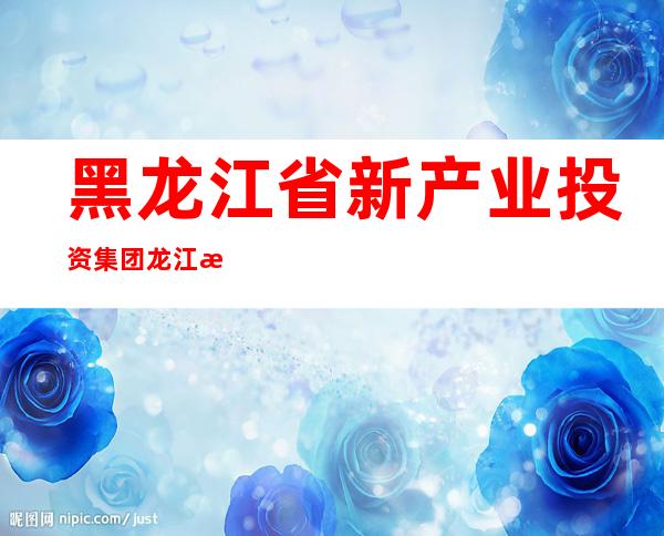黑龙江省新产业投资集团龙江清洁能源有限公司
